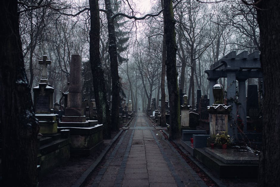 A misty winter morning in an old cemetery with tombstones and leafless trees lining the path.