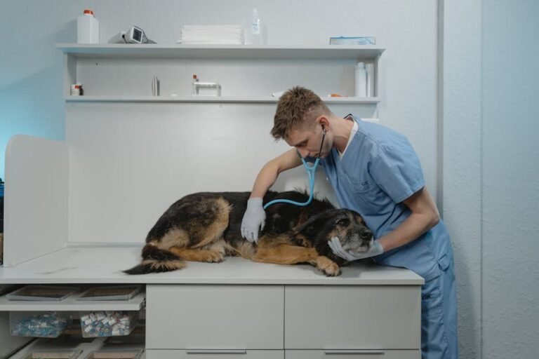 A veterinarian in scrubs examines a dog using a stethoscope in a clinic.