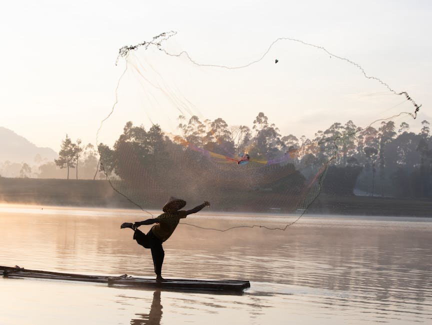 Free stock photo of along, boat, canoe