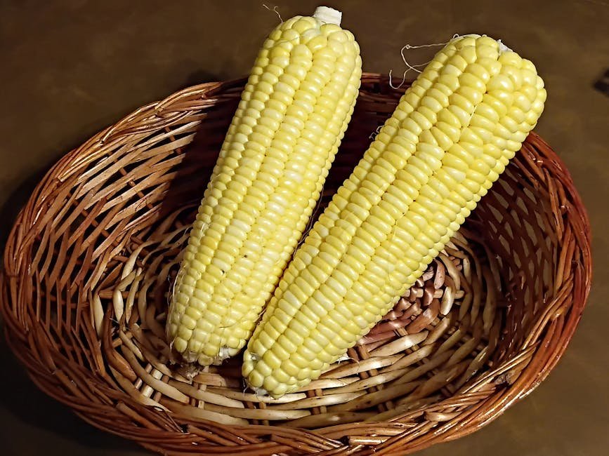 Two ears of yellow corn placed inside a classic woven basket for a rustic feel.