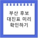 지방선거 부산 후보 대진표 예상 및 지역구 분석