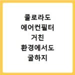 콜로라도 에어컨필터 거친 환경에서도 굴하지 않는 강력 여과 성능