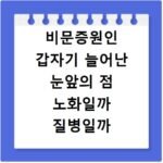 비문증원인 갑자기 늘어난 눈앞의 점 노화일까 질병일까