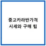 중고카라반가격 시세와 구매 팁