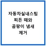 자동차실내스팀 찌든 때와 곰팡이 냄새 제거