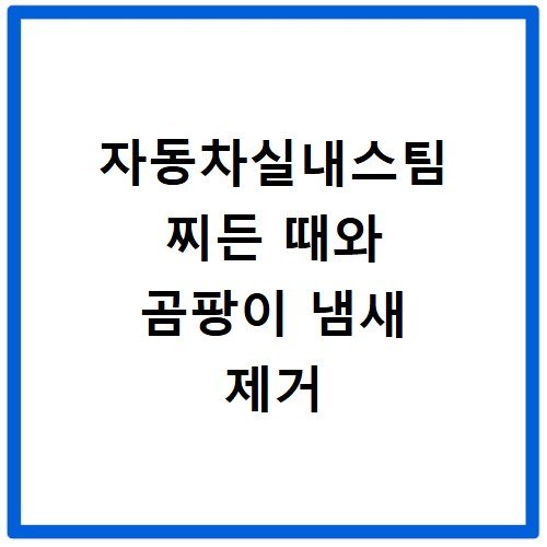 자동차실내스팀 찌든 때와 곰팡이 냄새 제거