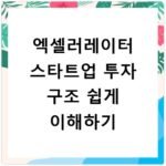 엑셀러레이터 스타트업 투자 구조 쉽게 이해하기