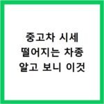 중고차 시세 떨어지는 차종 알고 보니 이것