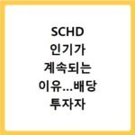 SCHD 인기가 계속되는 이유…배당 투자자 선택은