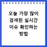 오늘 가장 많이 검색된 실시간 이슈 확인하는 방법