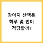 강아지 산책은 하루 몇 번이 적당할까?